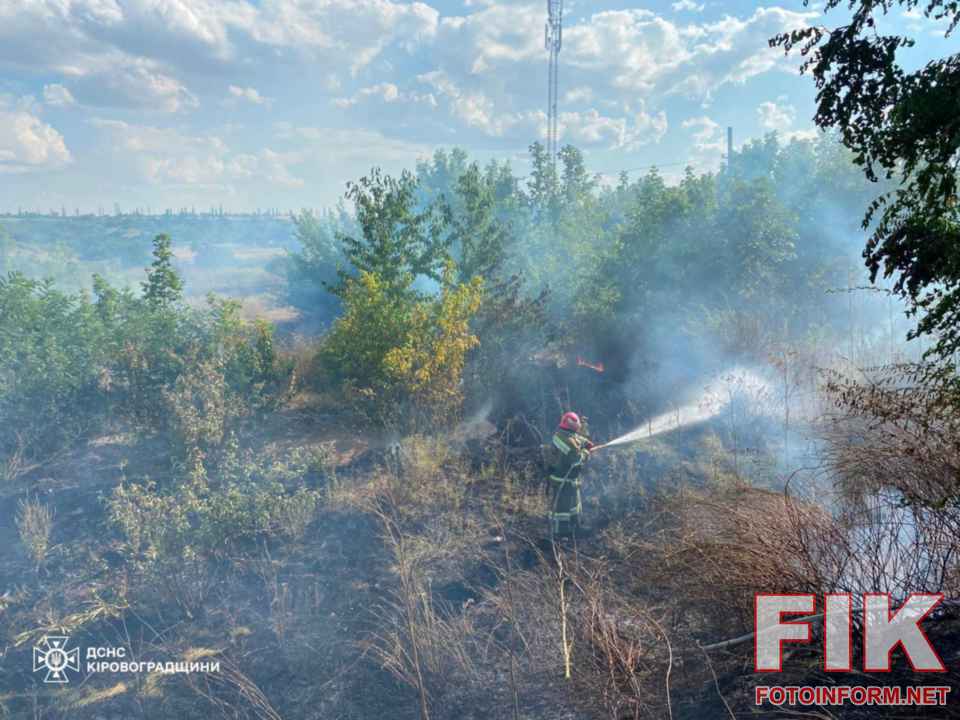 Пожежники ДСНС Кіровоградської області ліквідовують пожежу в екосистемі та гасять суху траву.