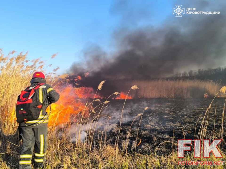 Наслідки одинадцяти пожеж на Кіровоградщині: згоріле сіно, пошкоджені вулики та випалена суха трава.