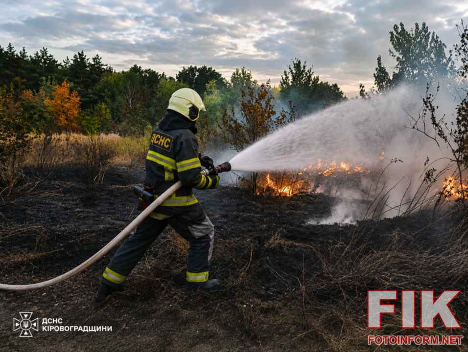 Рятувальники ДСНС ліквідовують пожежу сухої трави та лісового настилу на Кіровоградщині
