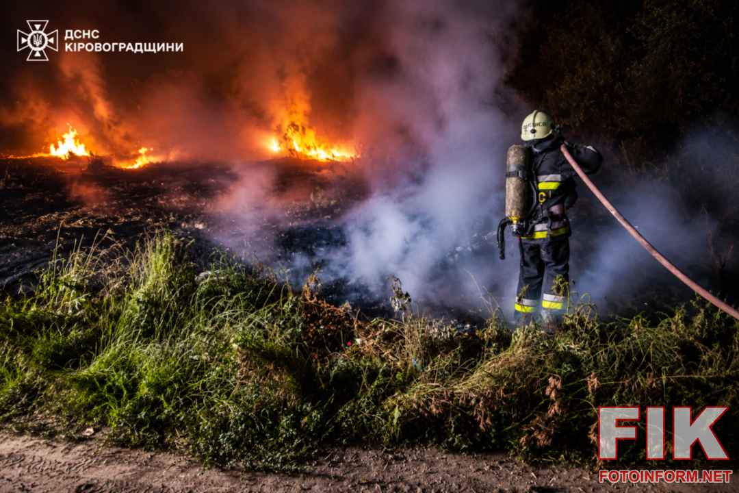у місті Світловодськ горіло 500 м² сухої трави, 