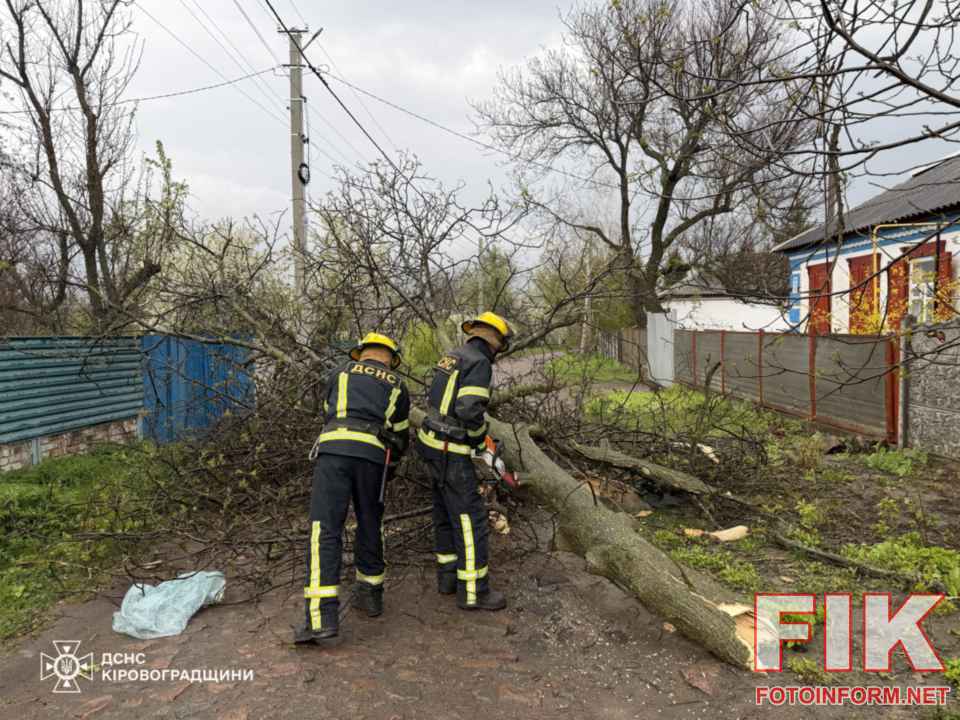 Рятувальники ДСНС на Кіровоградщині за допомогою бензопил розчищають проїжджу частину від поваленого внаслідок негоди дерева. ГУ ДСНС у Кіровоградській області.