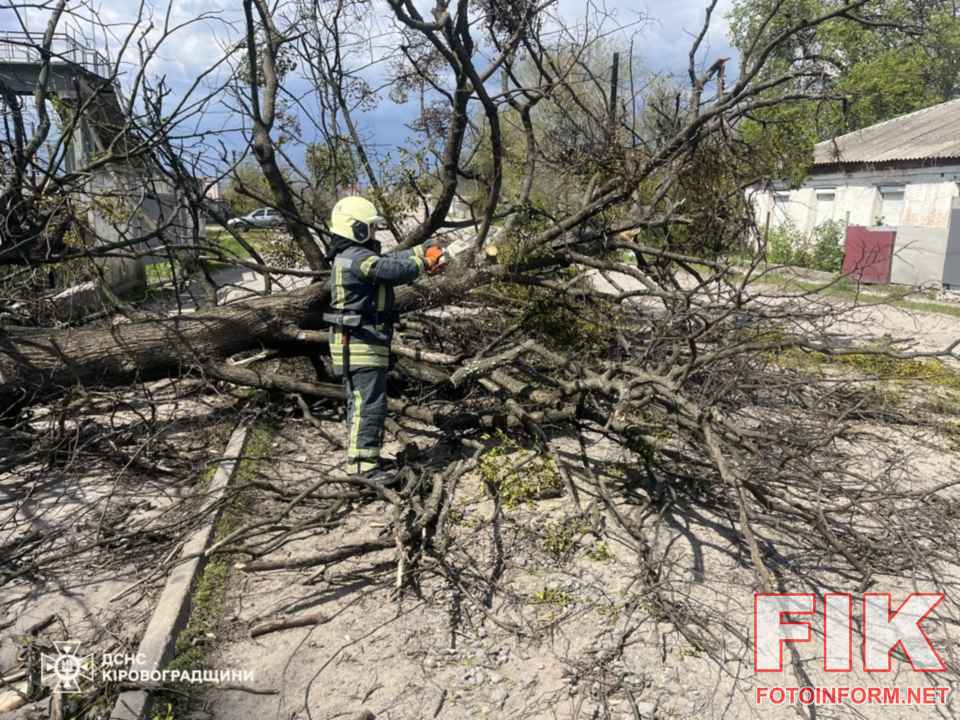 Рятувальники ДСНС на Кіровоградщині за допомогою бензопил розчищають проїжджу частину від поваленого внаслідок негоди дерева. ГУ ДСНС у Кіровоградській області.