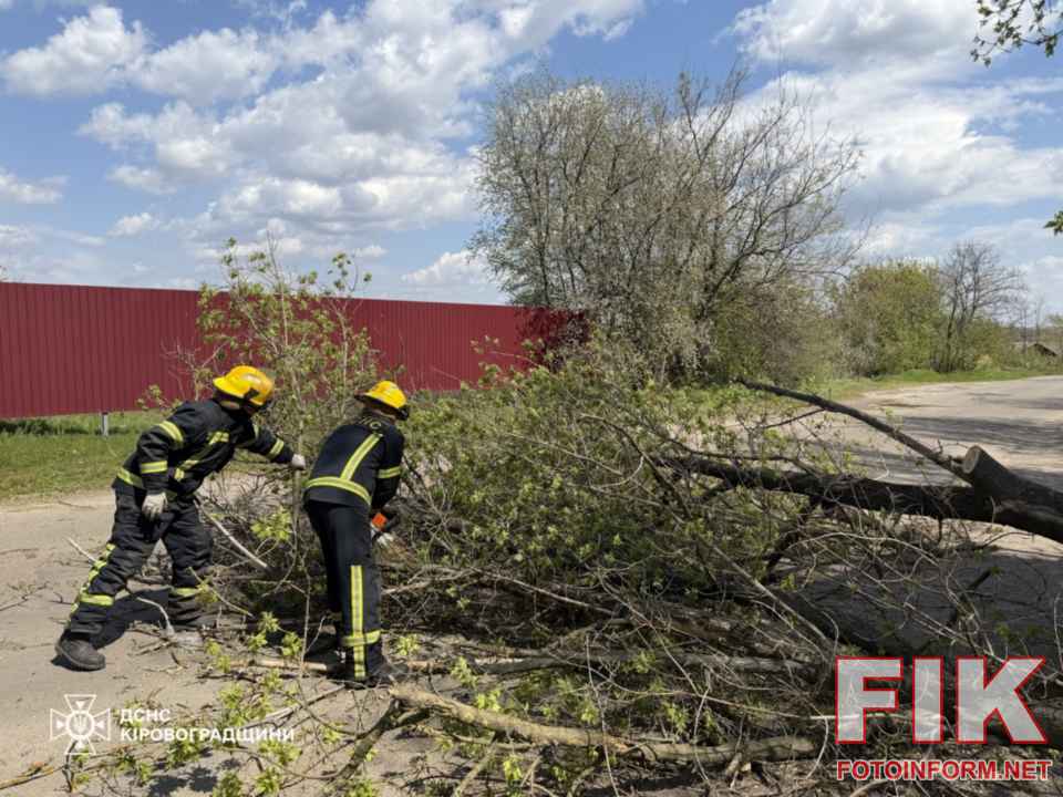 Рятувальники ДСНС Кіровоградської області за допомогою бензопил розчищають проїжджу частину від поваленого внаслідок негоди дерева.