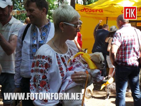 Сьогодні, 19 травня, у місті Кропивницький у парку на Козачому острові розпочалась виставка-конкурс «Кубок Барбоса -2019», повідомляє FOTOINFORM.NET