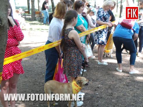 Сьогодні, 19 травня, у місті Кропивницький у парку на Козачому острові розпочалась виставка-конкурс «Кубок Барбоса -2019», повідомляє FOTOINFORM.NET