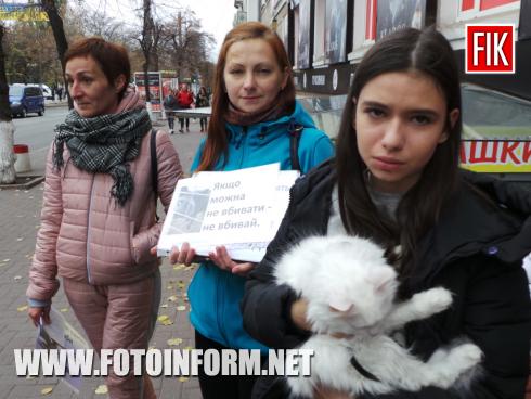 Сьогодні, 27 жовтня, у місті Кропивницький в центрі міста проходить проти хутрових ферм, повідомляє FOTOINFORM.NET
